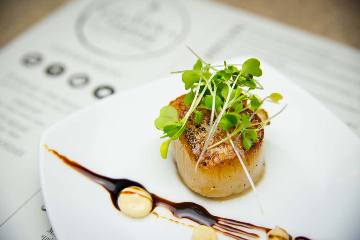 Scallop