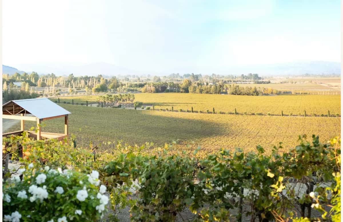 Scenic vineyard landscape with rolling hills, lush grapevines, and elegant countryside event venue atmosphere