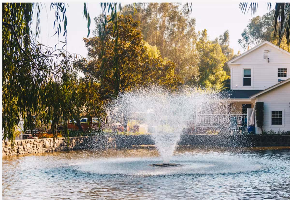 Outdoor fountain surrounded by trees and landscaped gardens creating a serene luxury event venue atmosphere