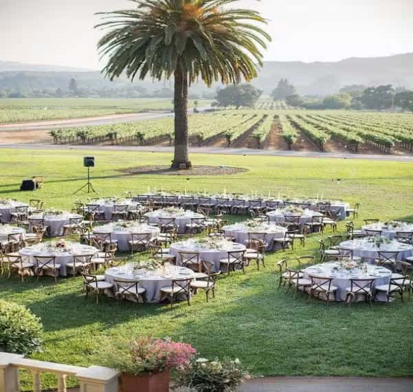 Outdoor vineyard event setup with round banquet tables, scenic countryside views, and elegant wedding ambiance
