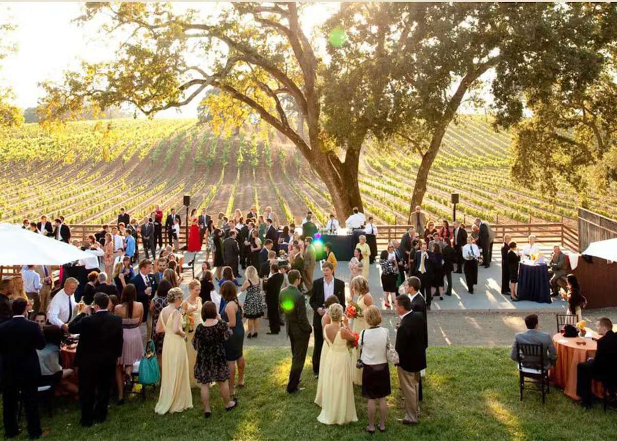 Outdoor vineyard gathering with guests under large oak trees and scenic countryside event ambiance