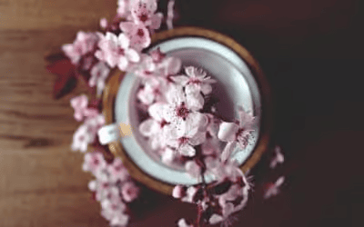 The Conscious CEO & The Awakened Corporate: Seasons – Nothing You Feel Will Last Forever