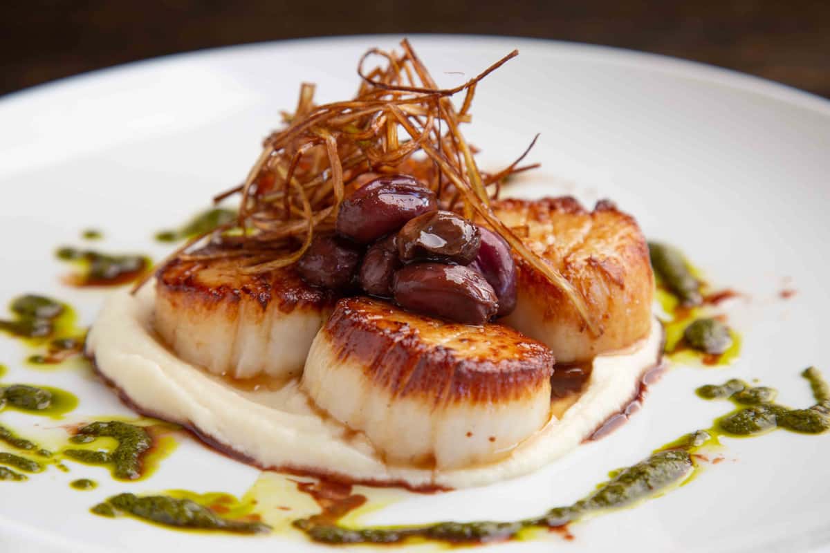 scallops