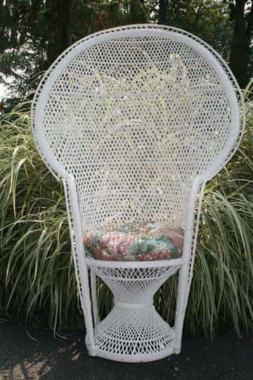 Peacock Chair