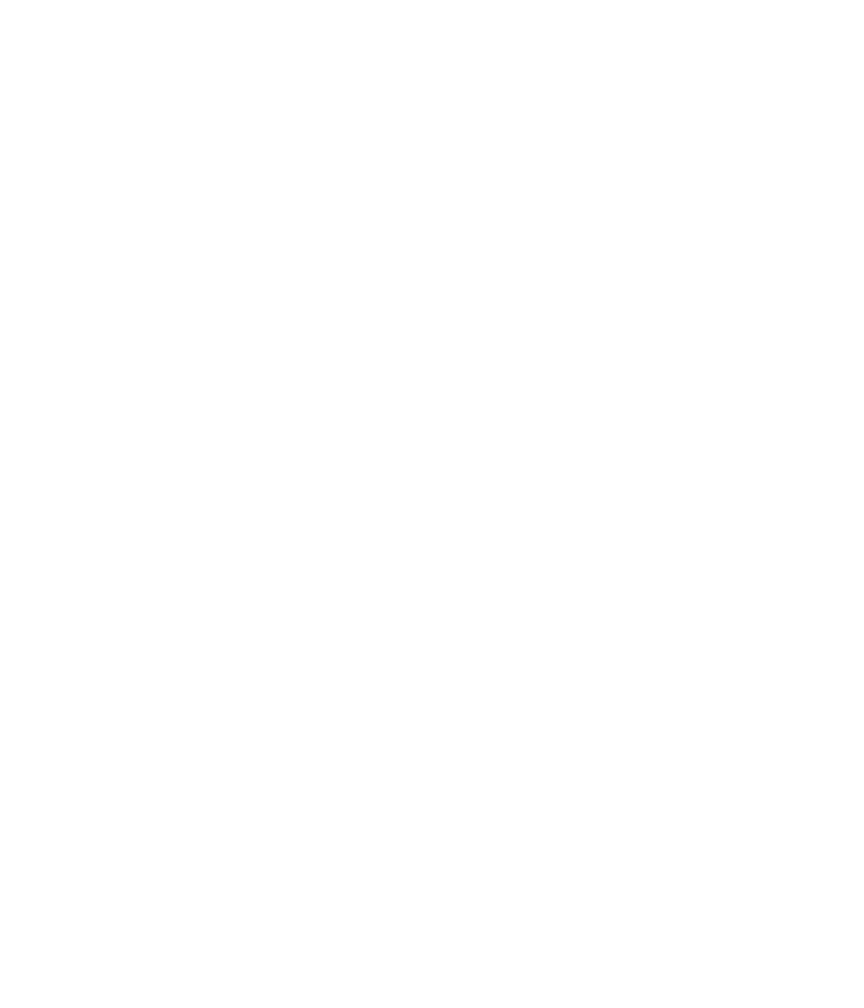 whalestales whie logo