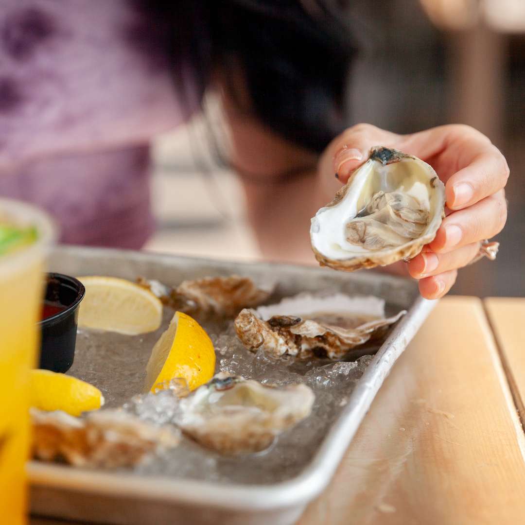oysters