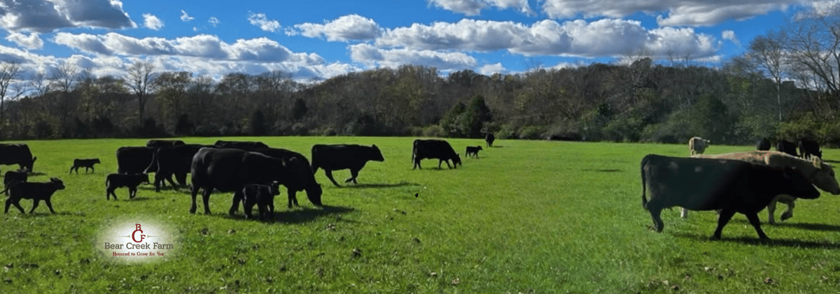 Bear Creek Farm