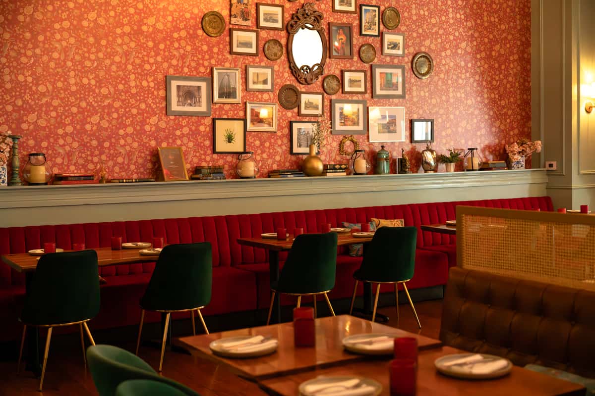 Best Restaurants in Palo Alto for Every Occasion š½ļøāØ