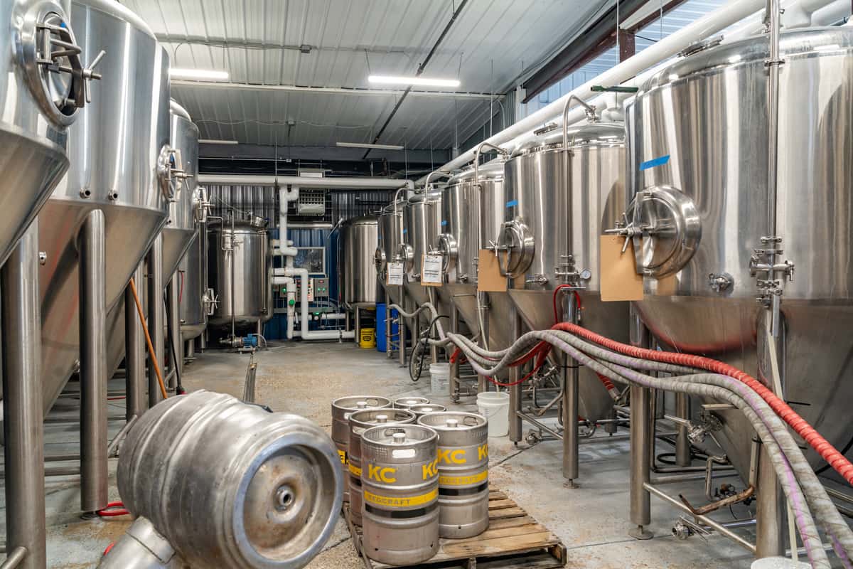 Rows of stainless steel fermentation tanks in a craft brewery