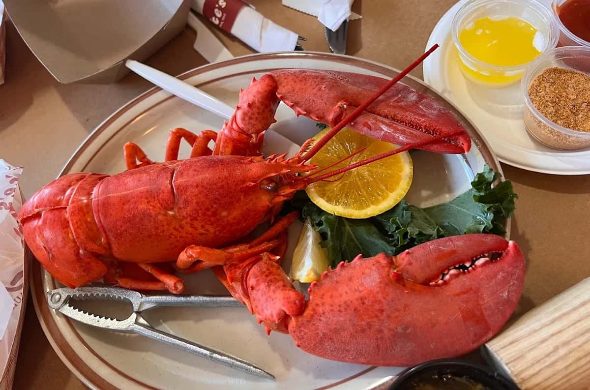Lobster Dinner - Mike's Restaurant & Crabhouse - Seafood Restaurant in MD