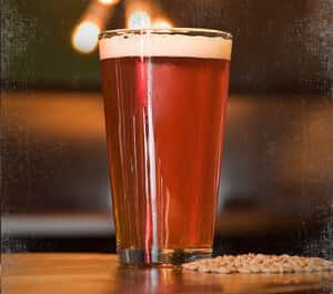 IPA