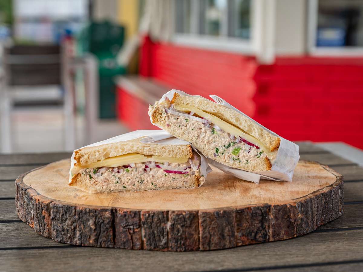 Tuna melt sandwich
