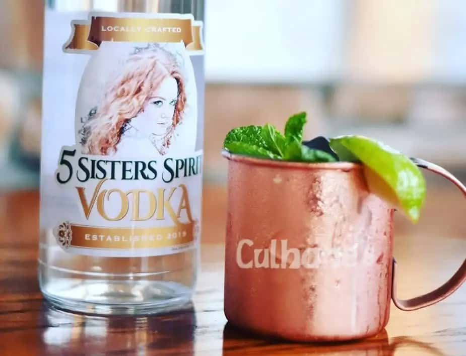 vodka with mule mug