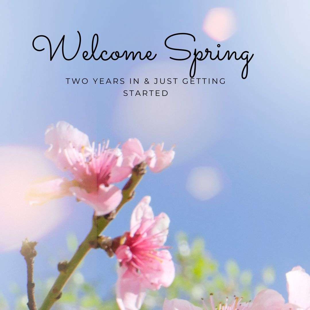 Spring at 21North, community, 2nd birthday, Team, great food, baby showers, bridal showers, celebrations of life, birthday parties, baptisms, giving back, 5 star reviews, great food, great people, catering, Private Events, Live Music