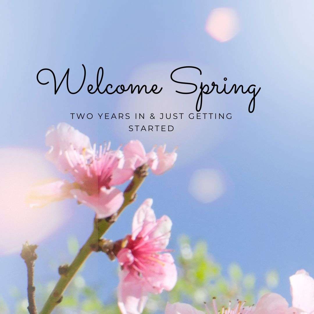 Spring 2026 Blog Photo
