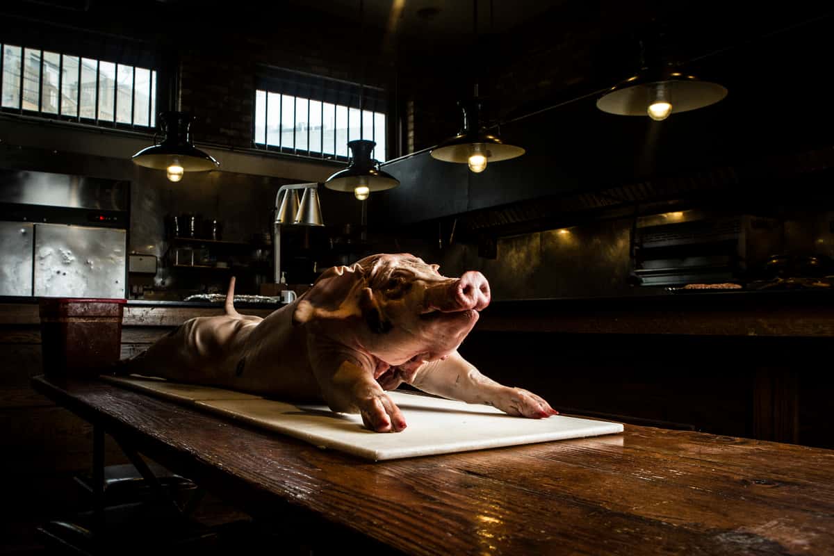 whole pig - animal service
