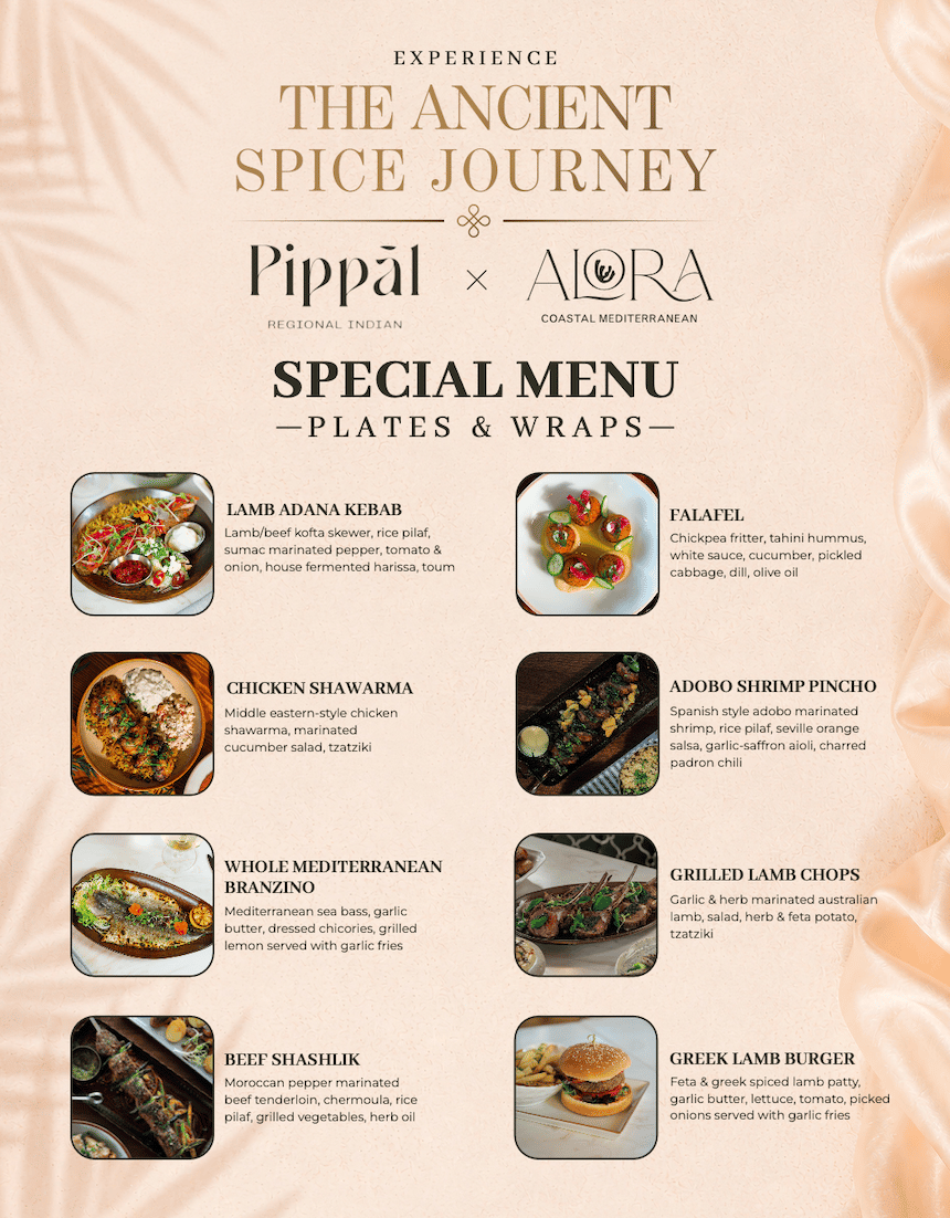 Indian Menu: Small Plates, Curries & Tandoor