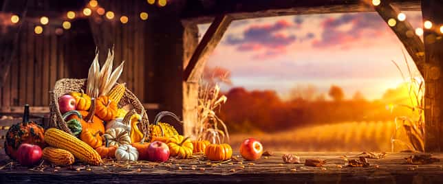 THANKSGIVING4