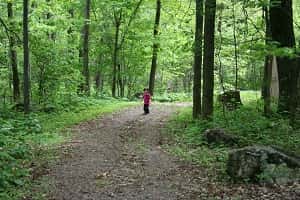Trail