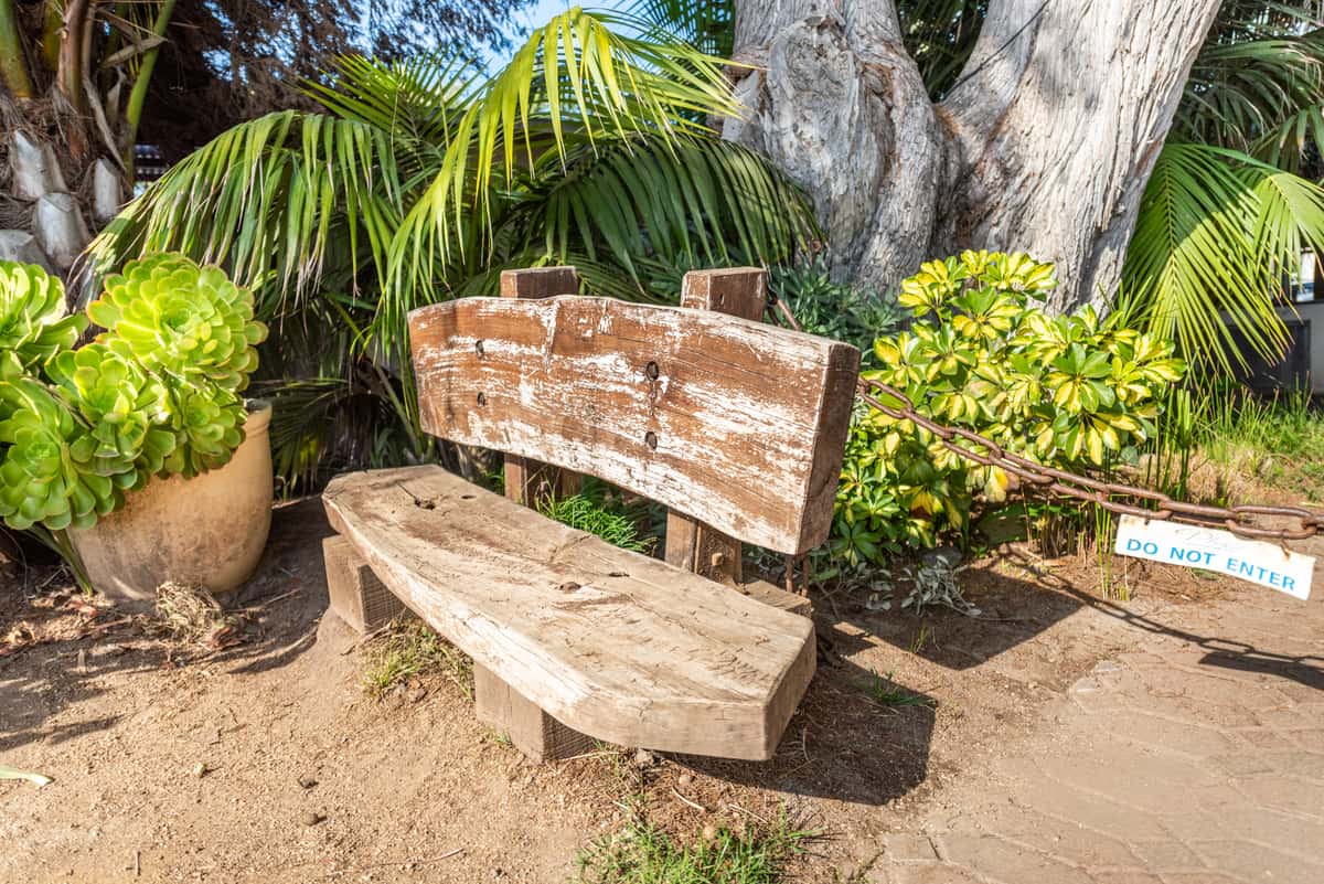 rustic bench