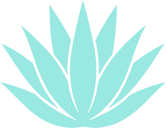 agave