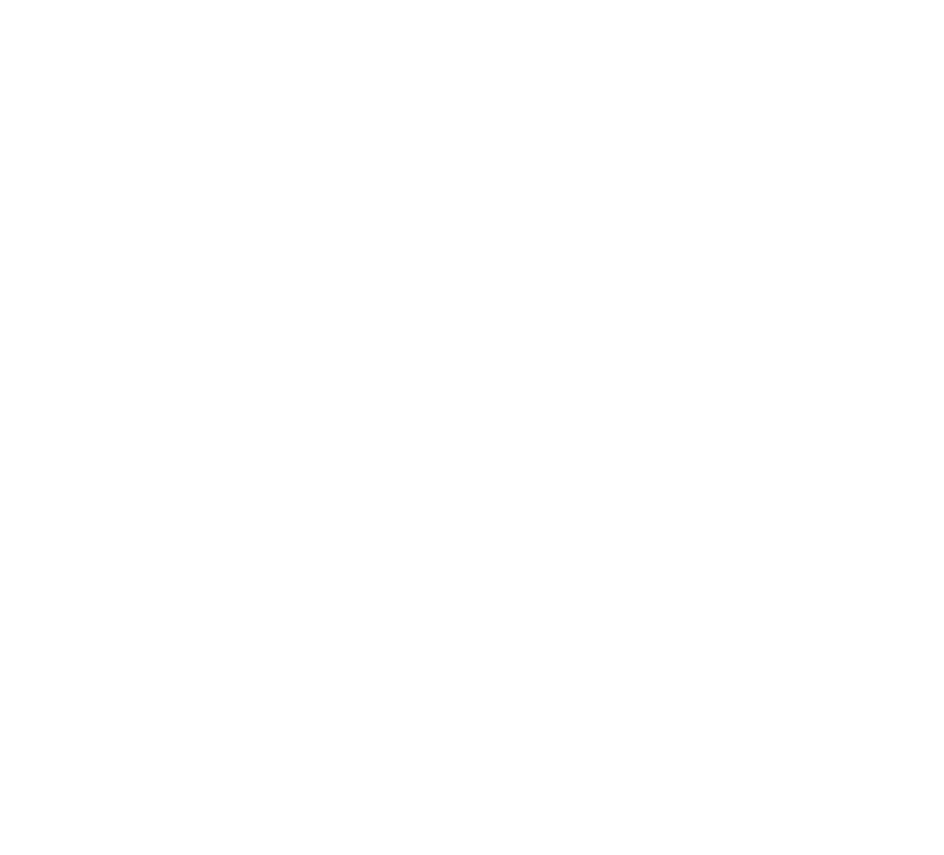 saint remy logo