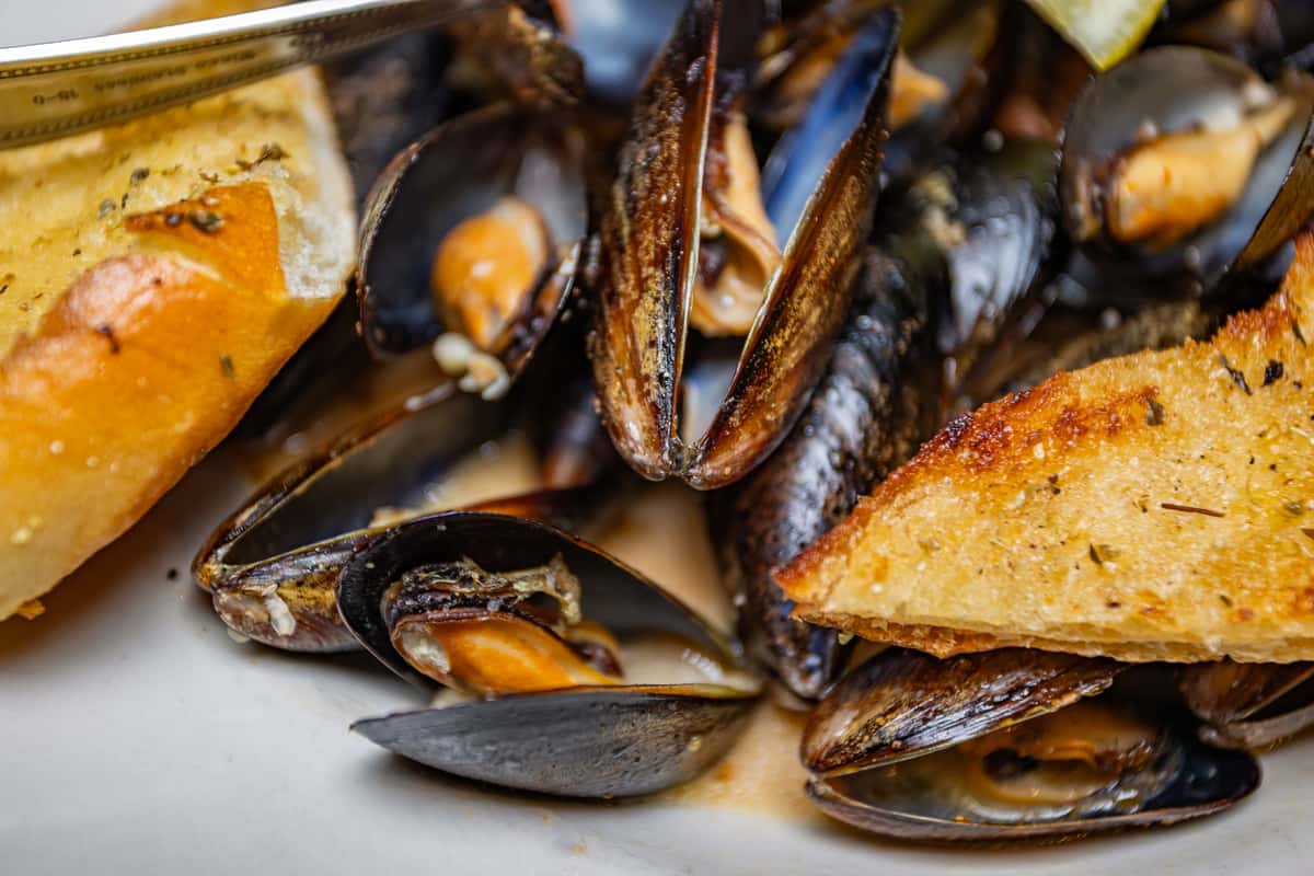 MaineStreetCoastalCuisine_SteamedMussels