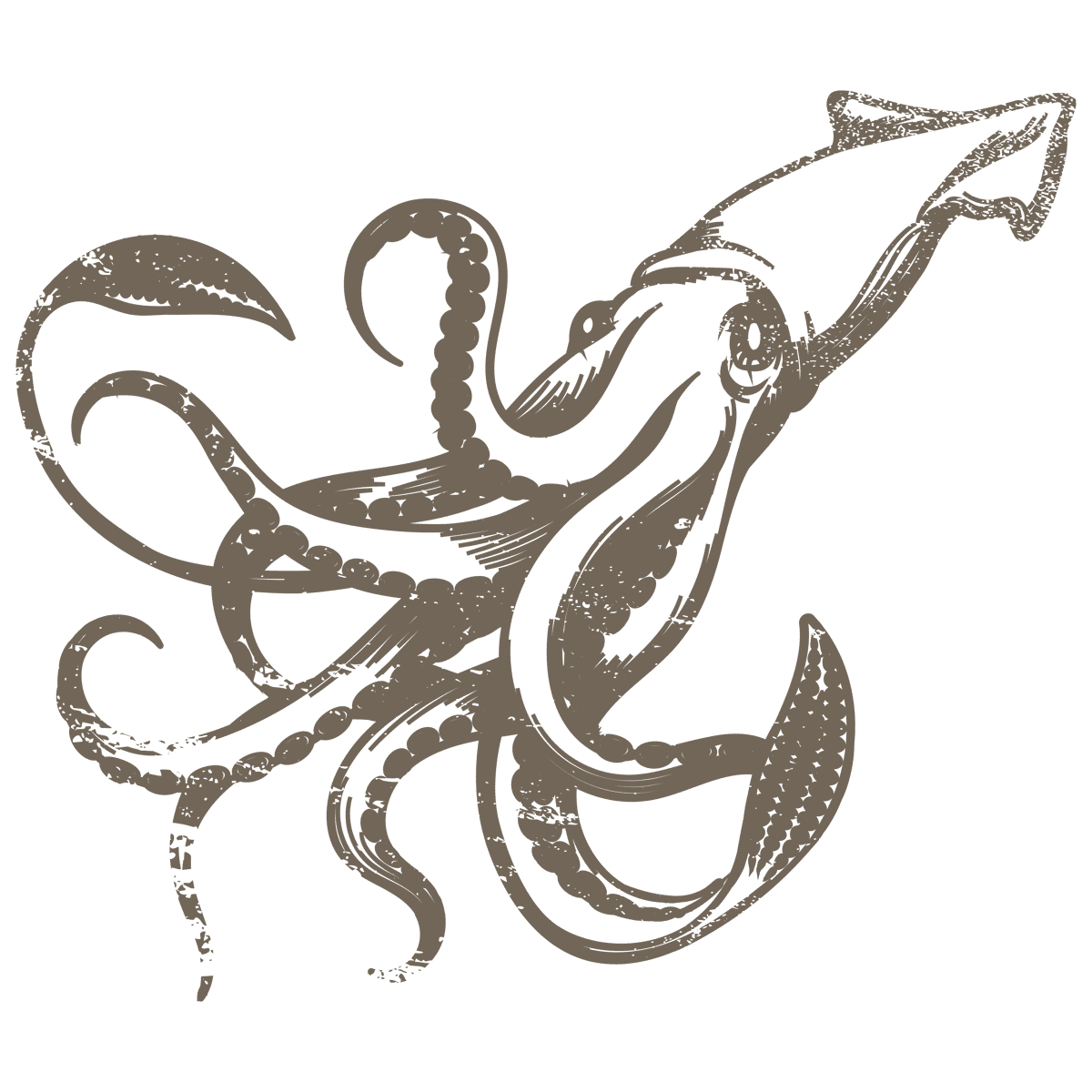 Squid