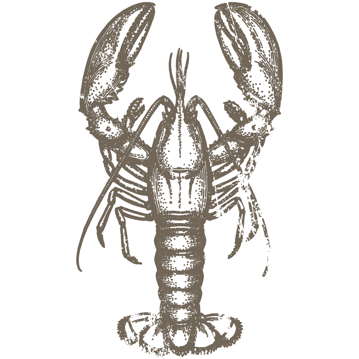 Lobster