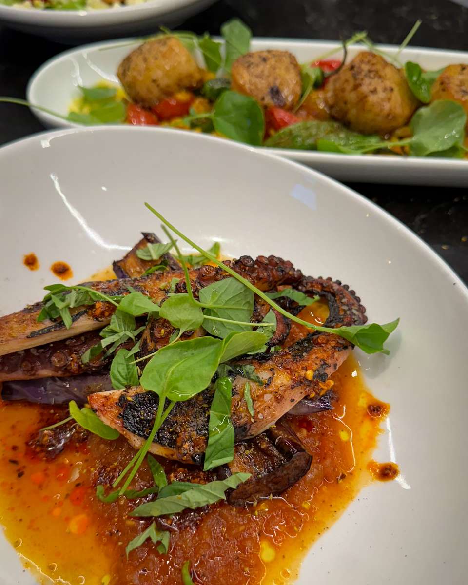 Grilled Octopus