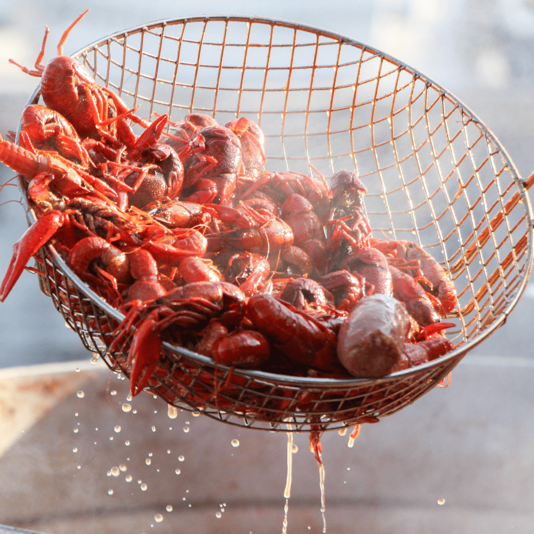 Live Crawfish at Terrebonne's Restaurant & Bar