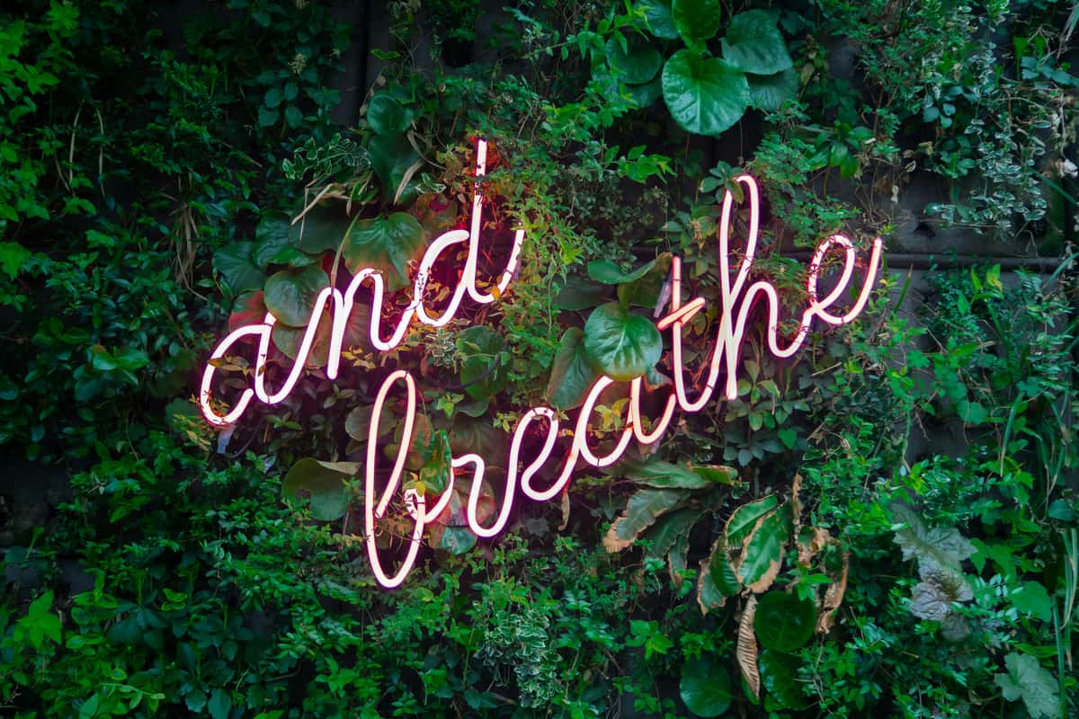 Neon sign that reads "and breath" on a greenery background