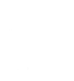 House icon