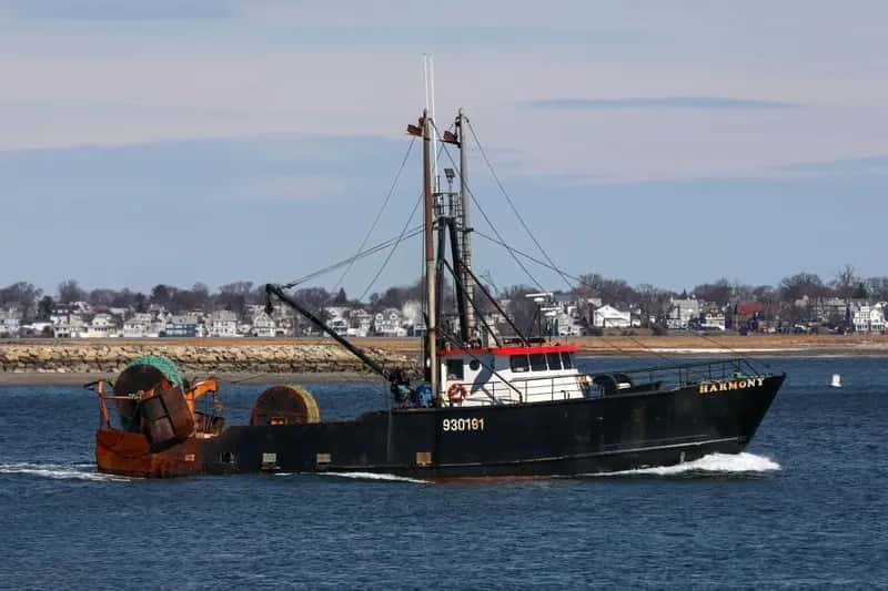 Harmony Boston Fish Pier