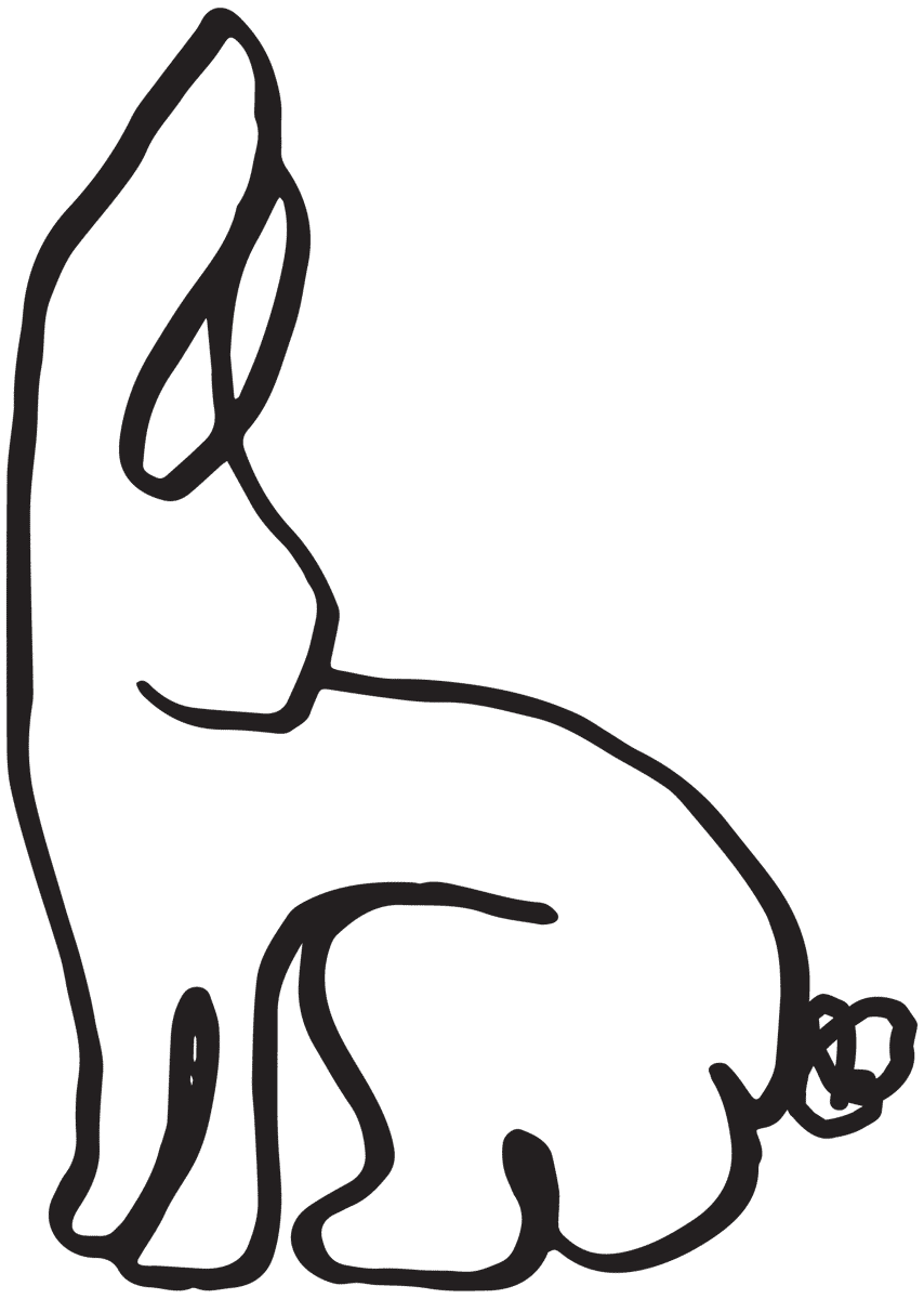 illustrated bunny