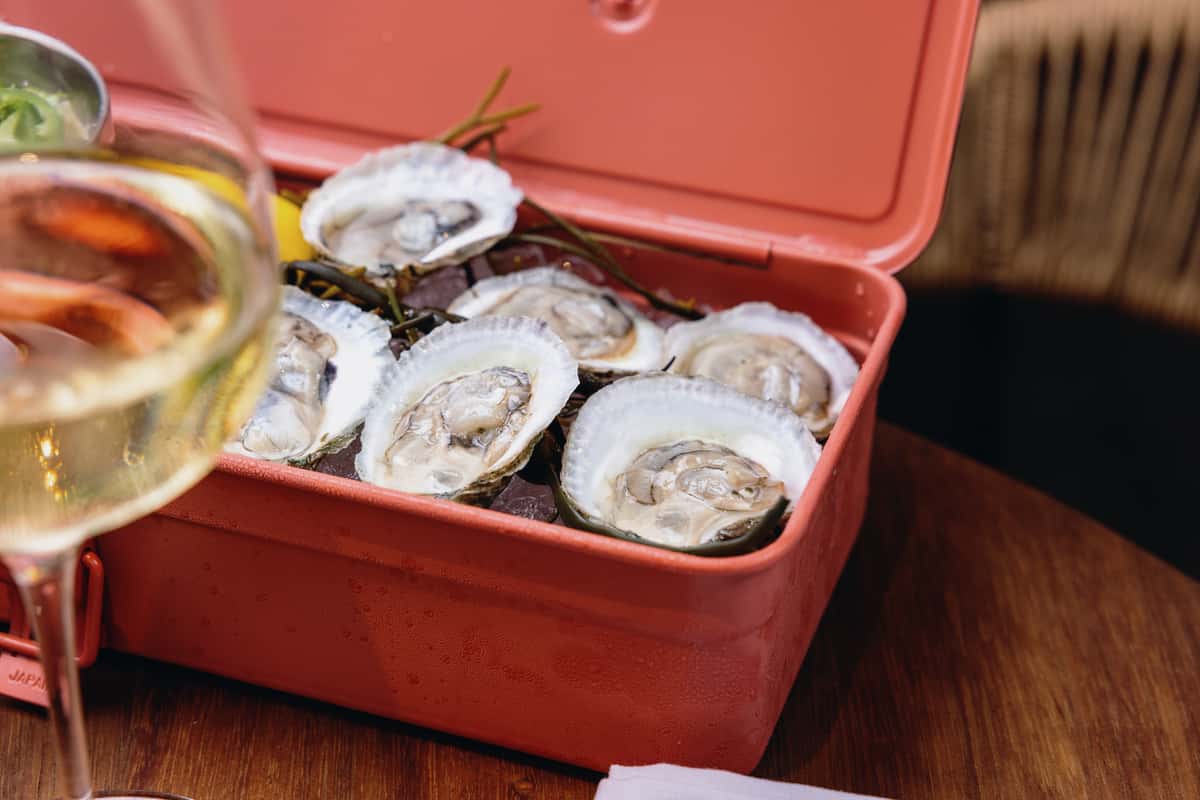 chest of fresh oysters