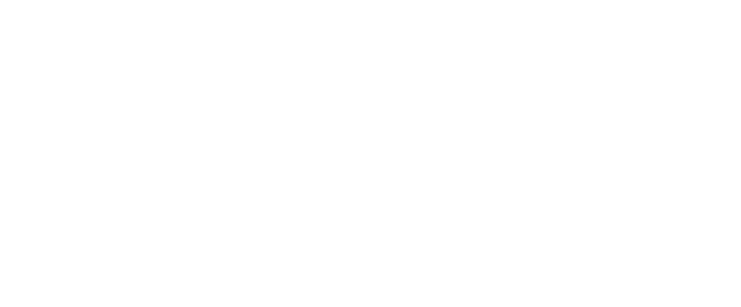 logo in white