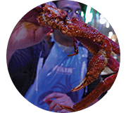 Lobster