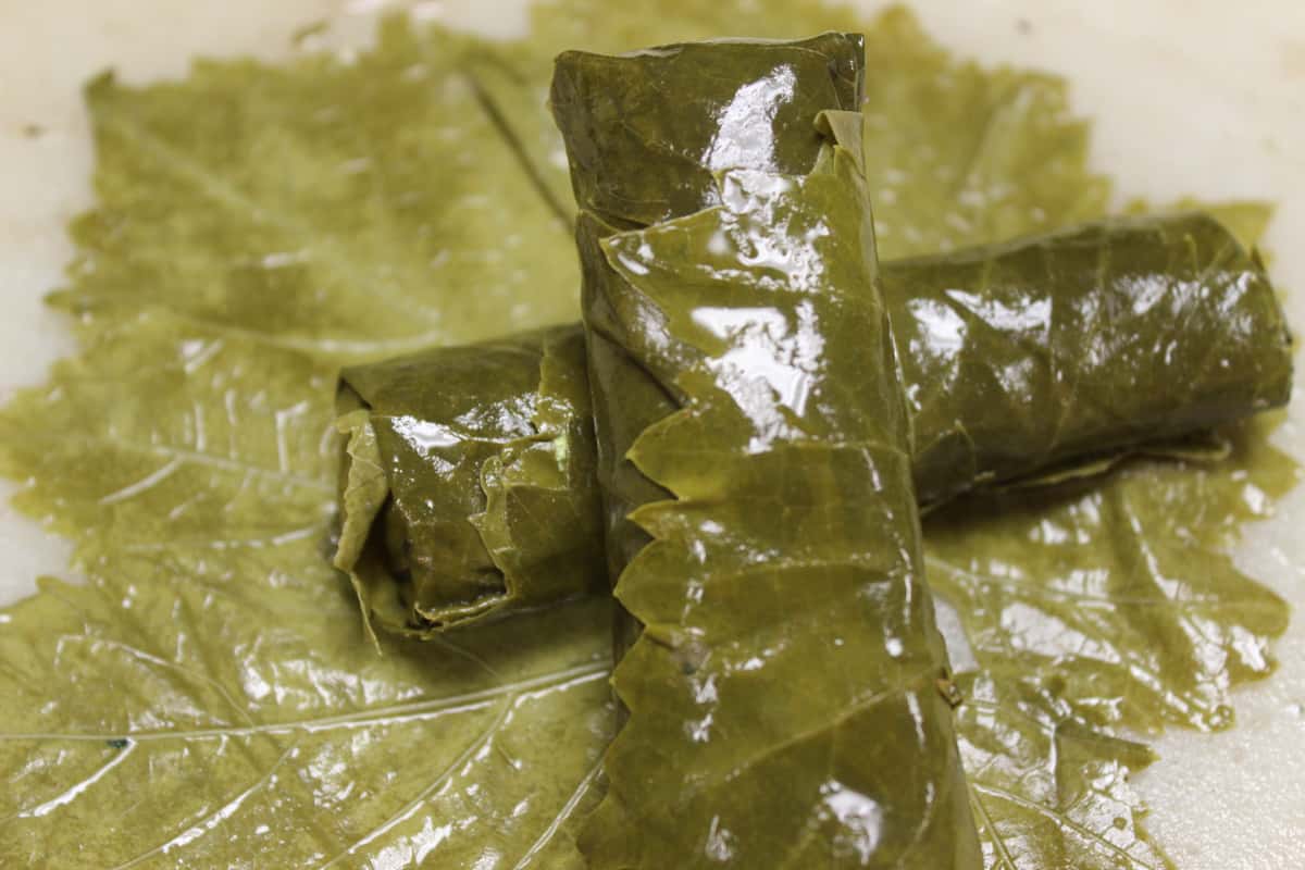 Stuffed grape leaves wrapped in tender vine leaves.