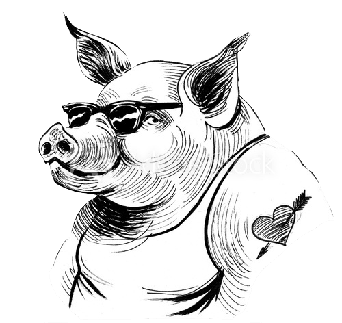 biker piggie