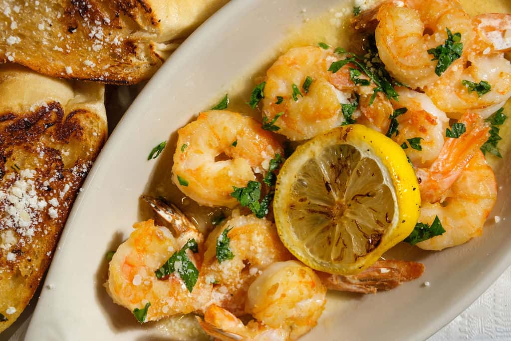 scampi