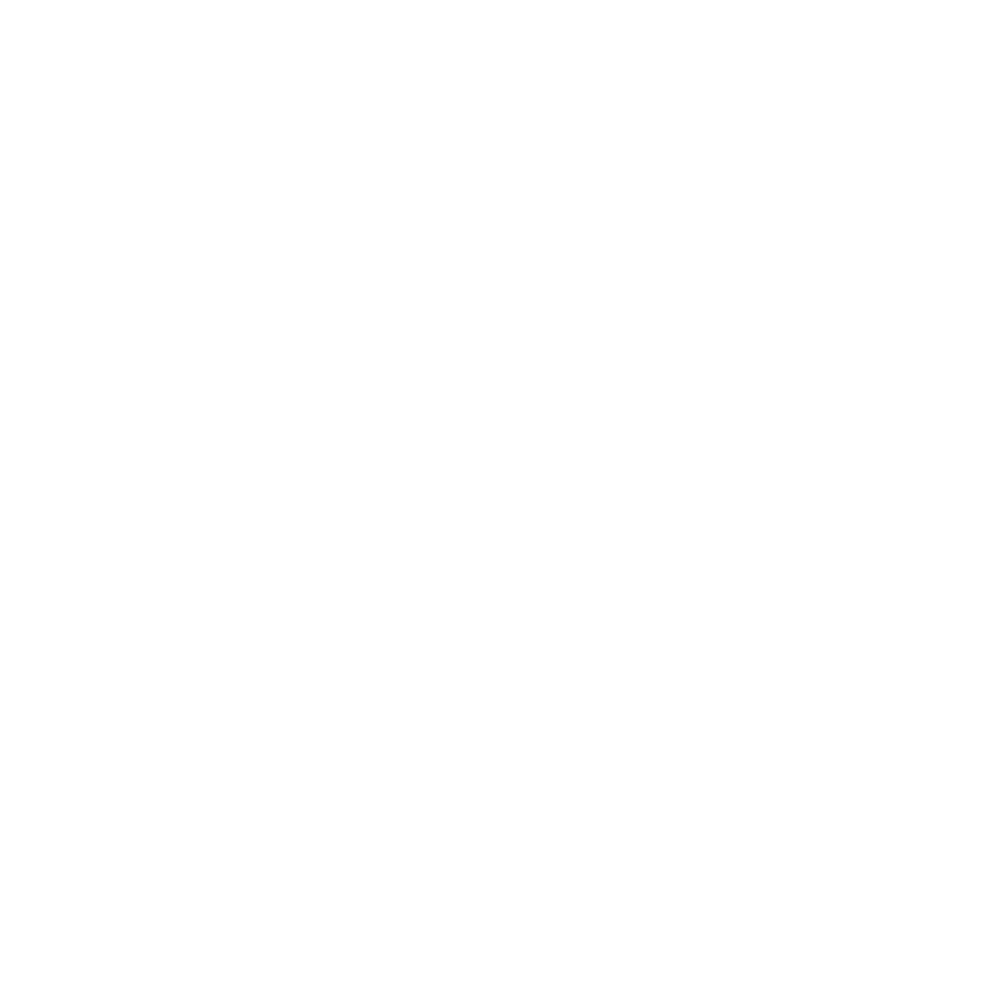 White Logo
