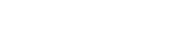 topo logo