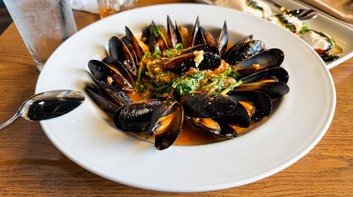 Steamed mussels in a rich red sauce with green herbs, served on a white plate.