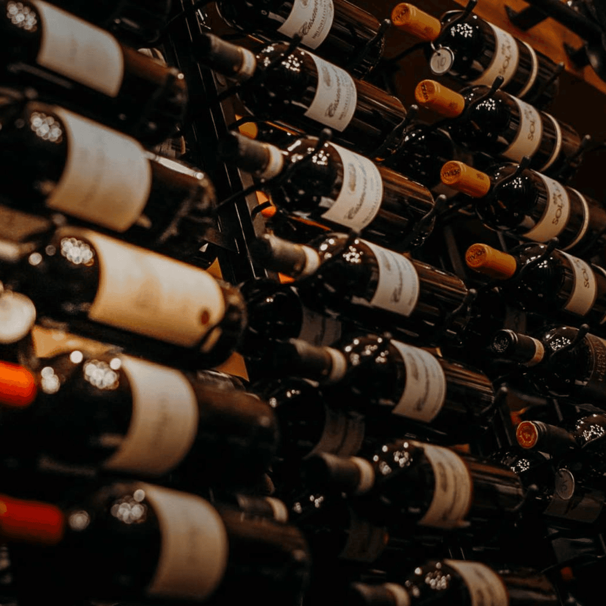 Wine