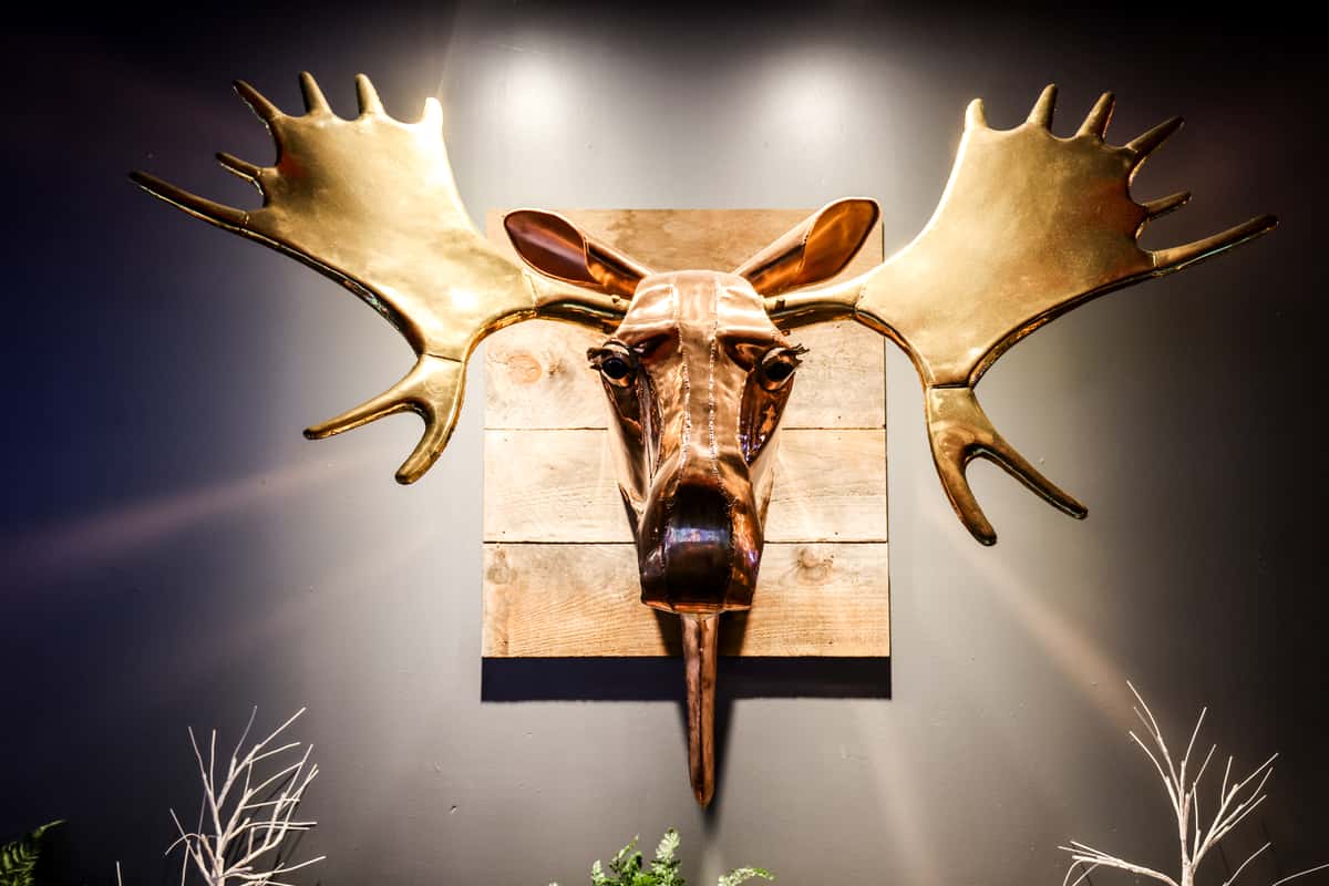moose decoration