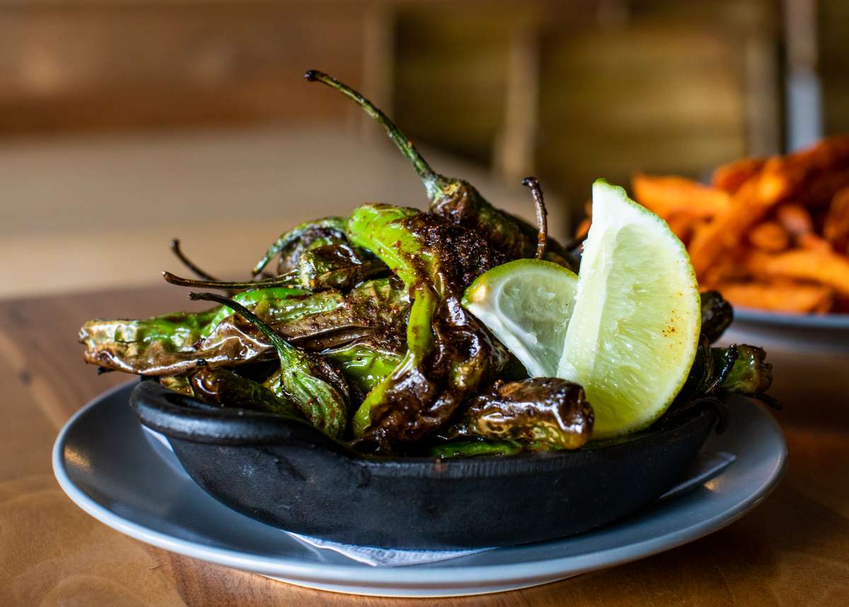 shishito peppers