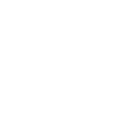 tik tok icon