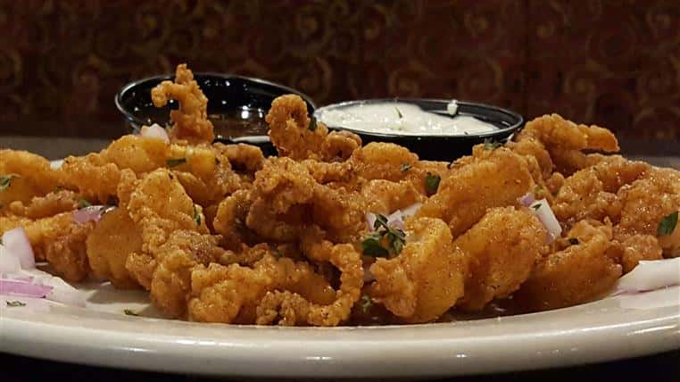 Calamari: Flash fried, garnished with red onion. Tzatziki dip