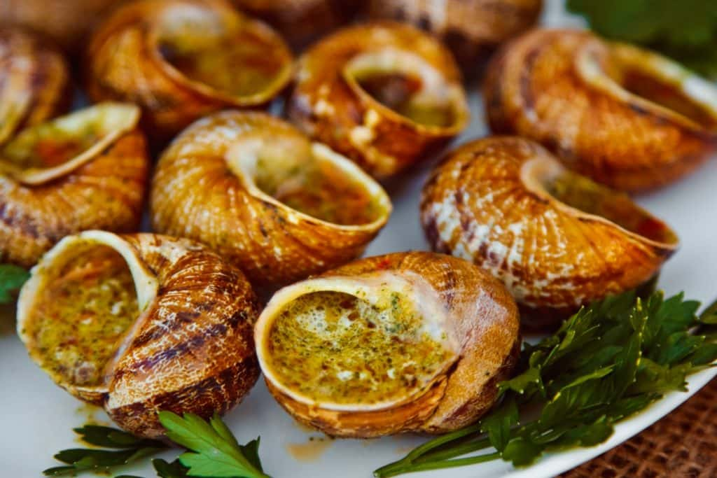 Escargot